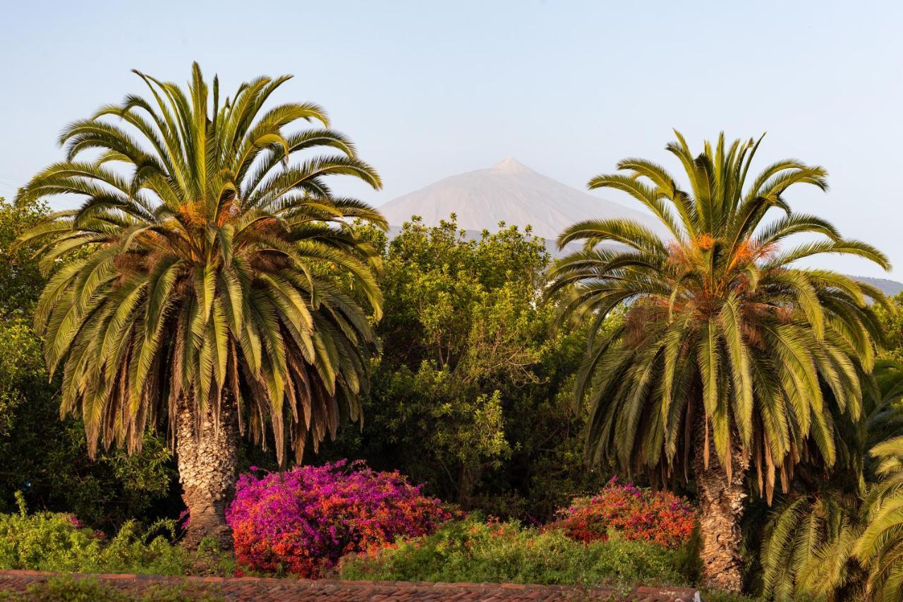 Apartment With Mount Teide And Sea Views ซานตา เออร์ซูลา ภายนอก รูปภาพ